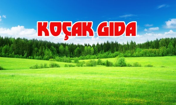KOÇAK GIDA Koçak Gıda Toptan & Perakende