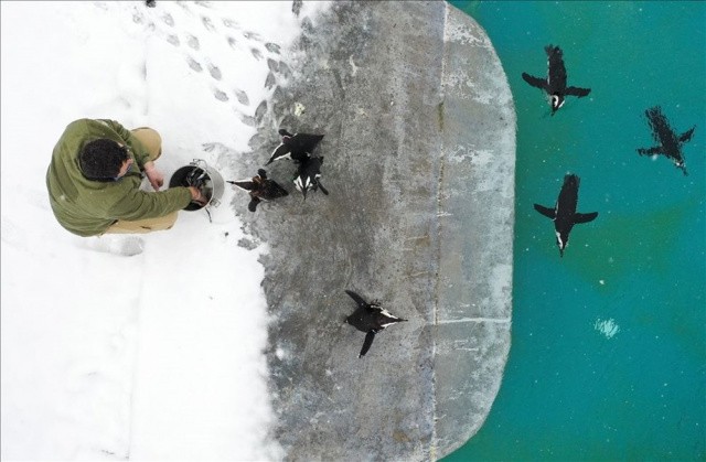 Haftanın Fotoğrafları