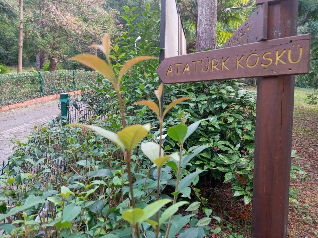 Yalova Termal kaplıcaları