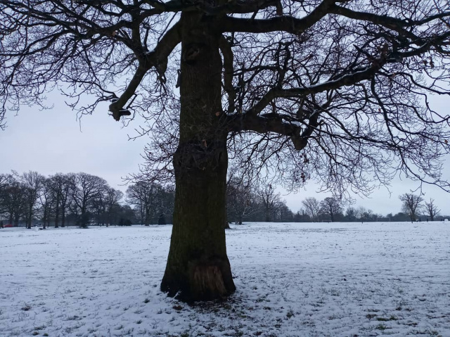 Londra'ya ilk kar d&uuml;şt&uuml;...