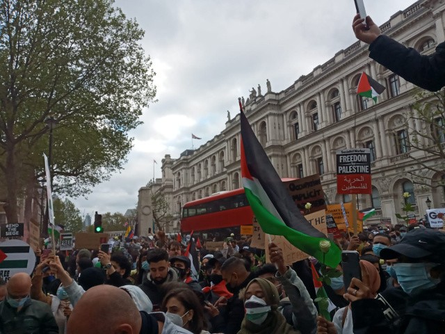 Londra'da Filistin i&ccedil;in acil &ccedil;ağrı