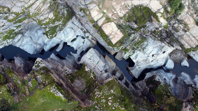 Haftanın Fotoğrafları