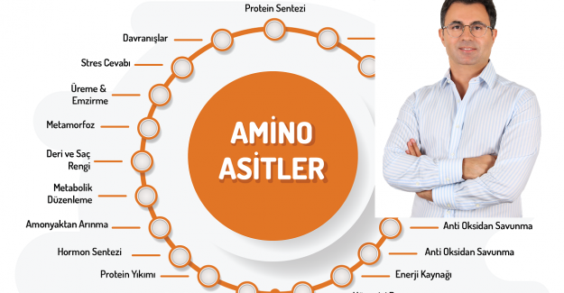 İngiltere'deki T&uuml;rk Doktor Korona aşısının etkisini artırıcı &uuml;r&uuml;n hazırladı
