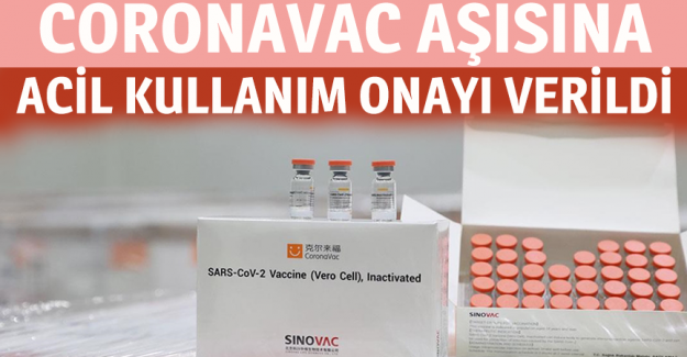 T&uuml;rkiye İla&ccedil; ve Tıbbi Cihaz Kurumu CoronaVac aşısı i&ccedil;in 'Acil Kullanım Onayı' verdi