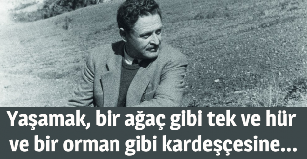 Yaşamak, bir ağa&ccedil; gibi tek ve h&uuml;r  ve bir orman gibi kardeş&ccedil;esine...