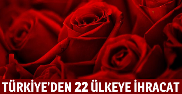 T&uuml;rkiye'den Sevgililer G&uuml;n&uuml; i&ccedil;in 22 &uuml;lkeye 70 milyon dal kesme &ccedil;i&ccedil;ek g&ouml;nderildi