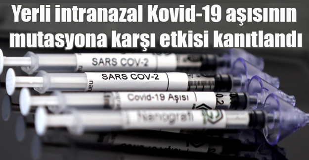 Yerli intranazal Kovid-19 aşısının mutasyona karşı etkisi kanıtlandı