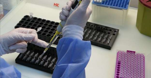 İsve&ccedil;'te yaklaşık 100 bin kişiye sahte PCR testi satıldığı iddiasıyla inceleme başlatıldı