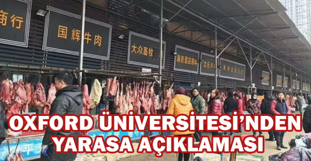 Oxford &Uuml;niversitesi&rsquo;nden yarasa a&ccedil;ıklaması: Covid &ouml;ncesinde satılmıyordu
