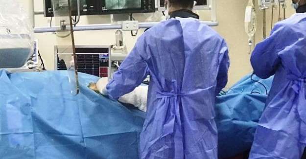 Tıp tarihinde bir ilk: Bir hastaya ineğin kalp kapak&ccedil;ıkları nakledildi