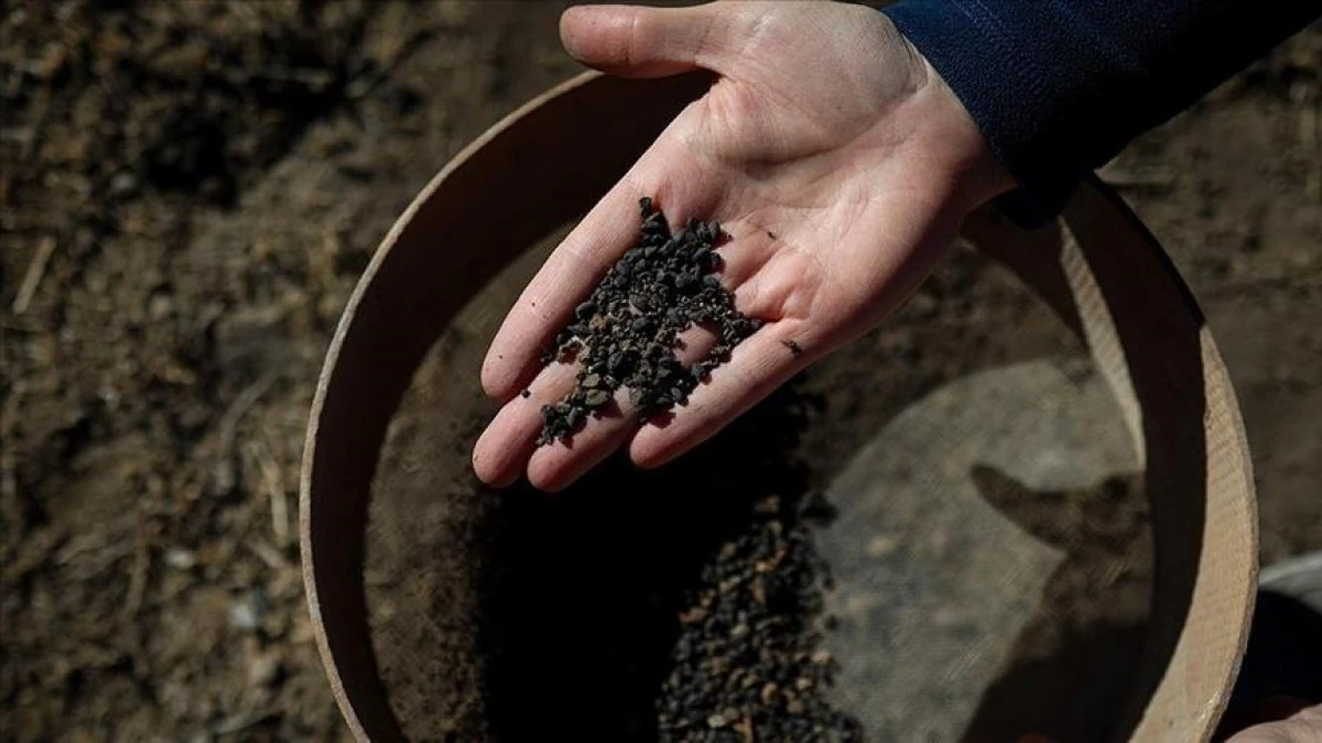5,000-year-old carbonized barley grains from Early Bronze Age discovered in eastern Türkiye