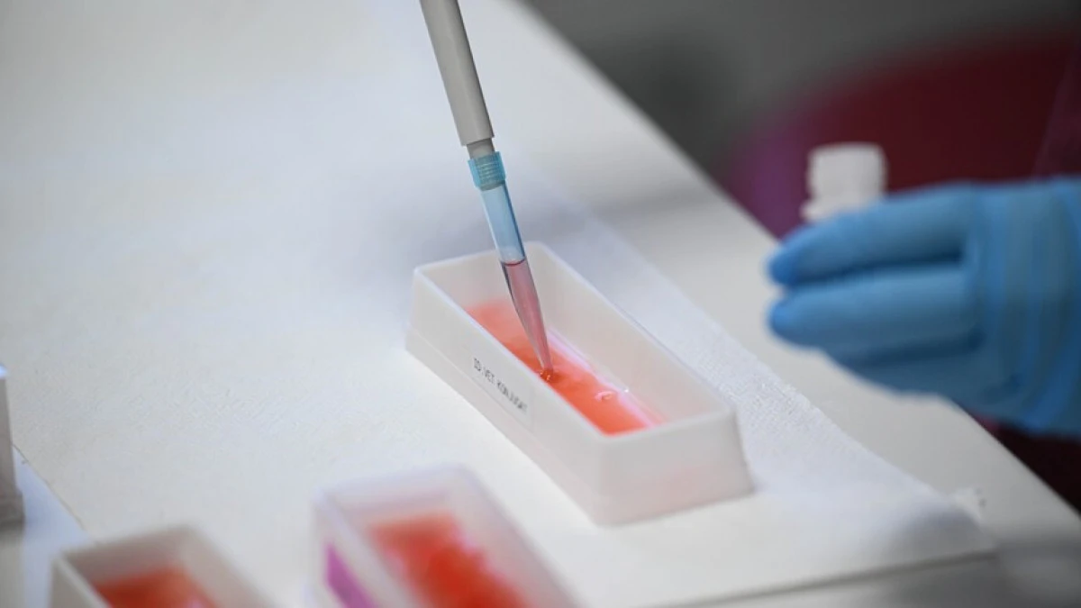 AI-designed 'universal vaccine' could help prevent future pandemics, researchers say
