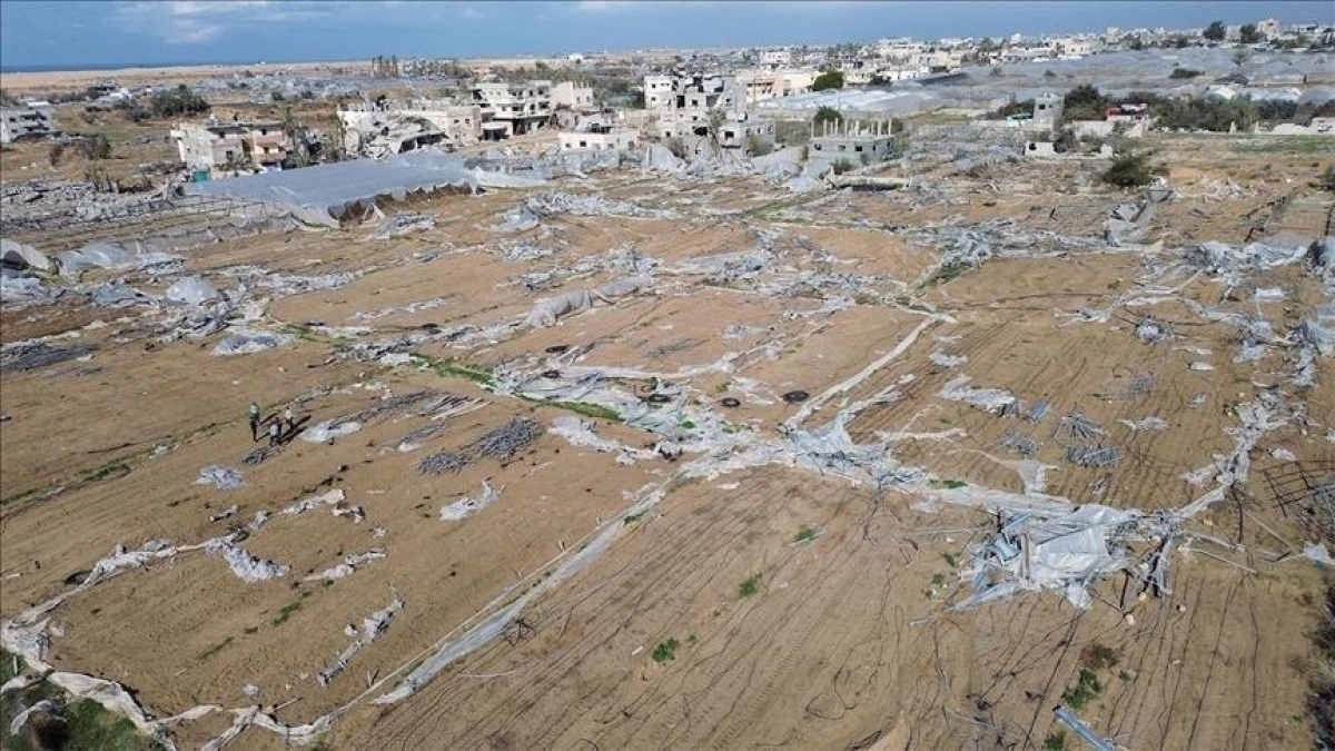 Almost all farmland in Gaza destroyed or inaccessible, UN agency says