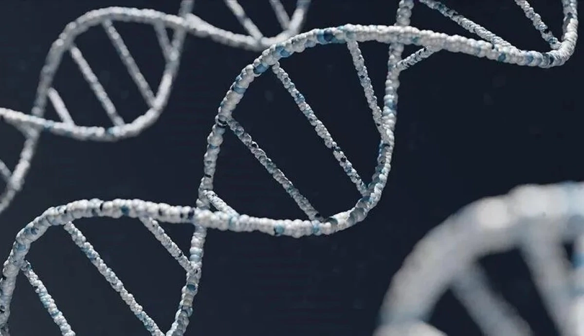 DNA study finds traces of 2 'ghost' human lineages