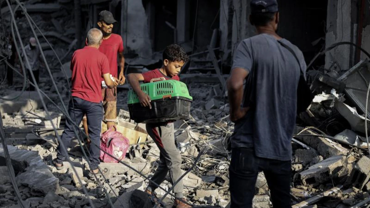 İsvi&ccedil;re: Gazze'deki insani durum felaket boyutunda