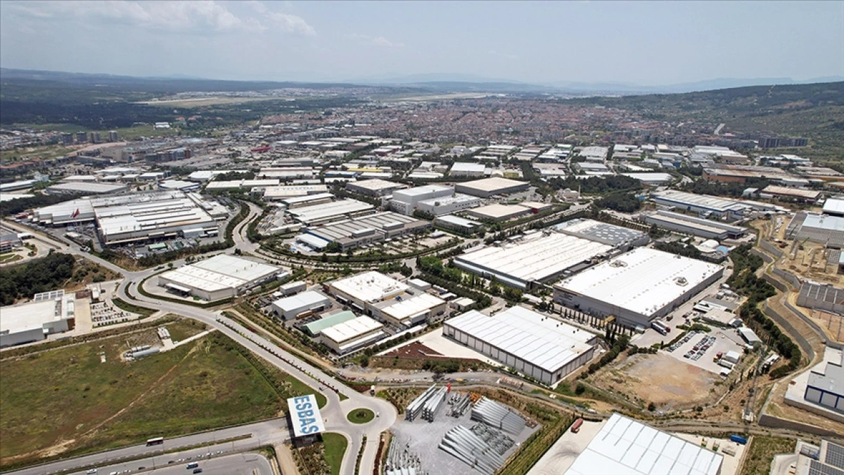 Kasımda Serbest Bölgelerden 915,7 Milyon Dolarlık İhracat