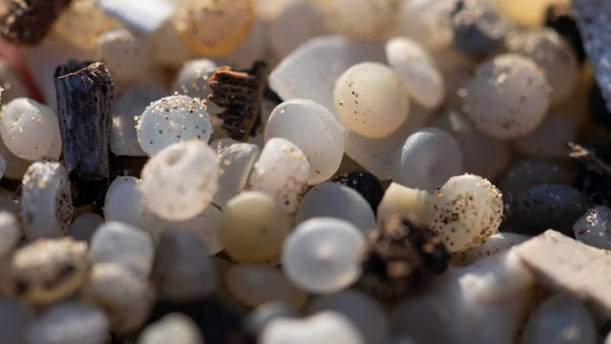 Plastic nurdles found at 84% of UK sites of special scientific interest