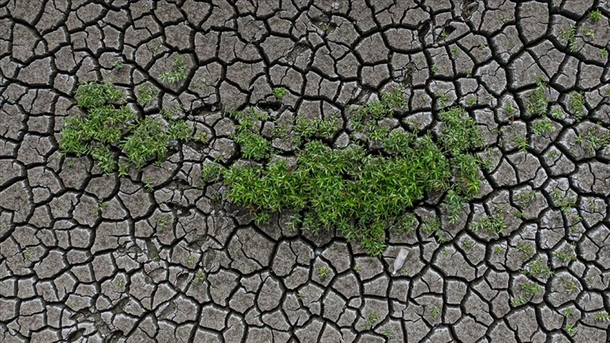Toprak ile su kaybı, gıdayı ve geleceği doğrudan tehdit ediyor