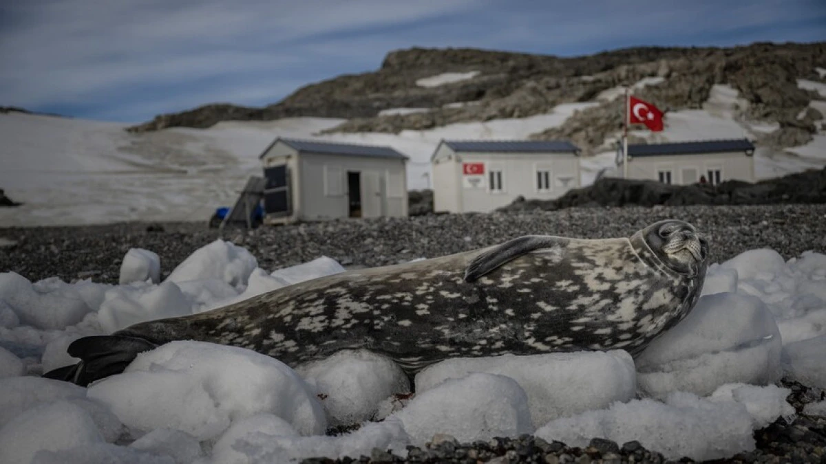 "T&uuml;rk Antarktika Bilim &Uuml;ss&uuml;" hazırlıkları tamamlandı