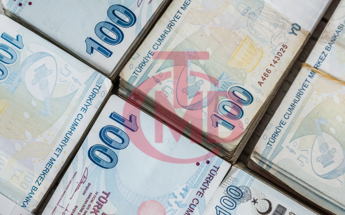 T&uuml;rk lirası mevduatın payını artırma politikaları s&uuml;rd&uuml;r&uuml;lecek