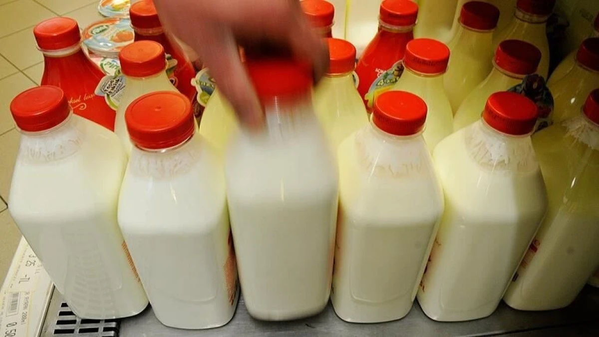 T&uuml;rkiye'nin ayran, kefir ve yoğurt &uuml;retimi rekor seviyeyede