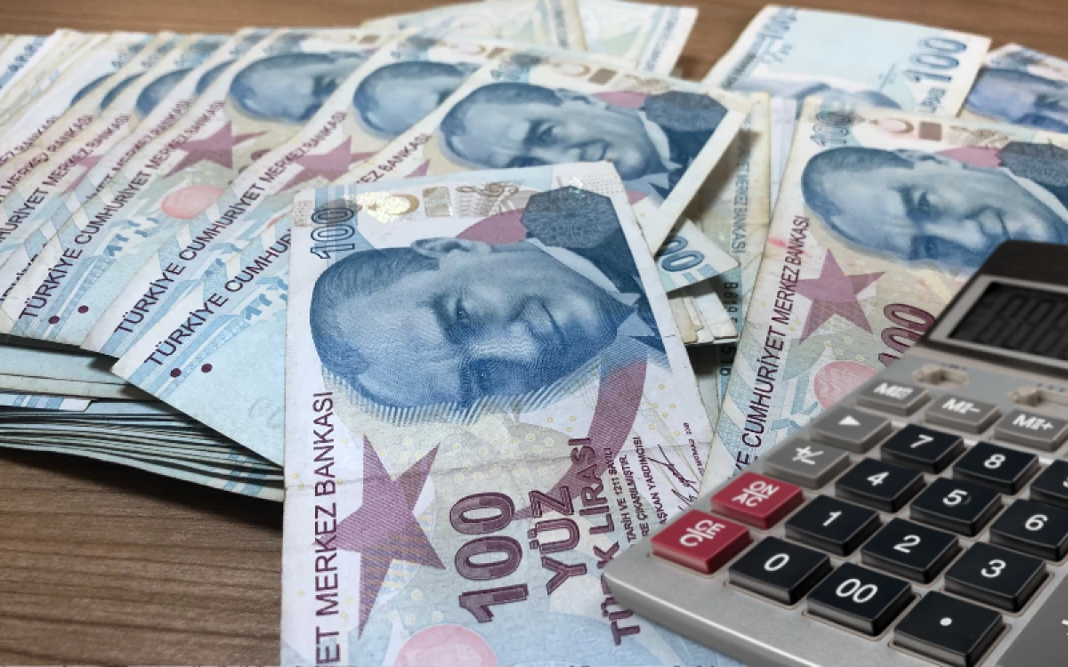 T&uuml;rkiye's central government budget posts deficit in July