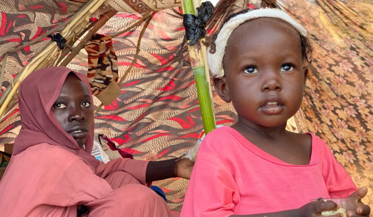 UK rejected atrocity prevention plans for Sudan despite warning of possible genocide